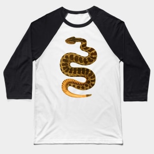 serpent,cobra,reptile,viper,venom,lizard,rattlesnake,king cobra Baseball T-Shirt